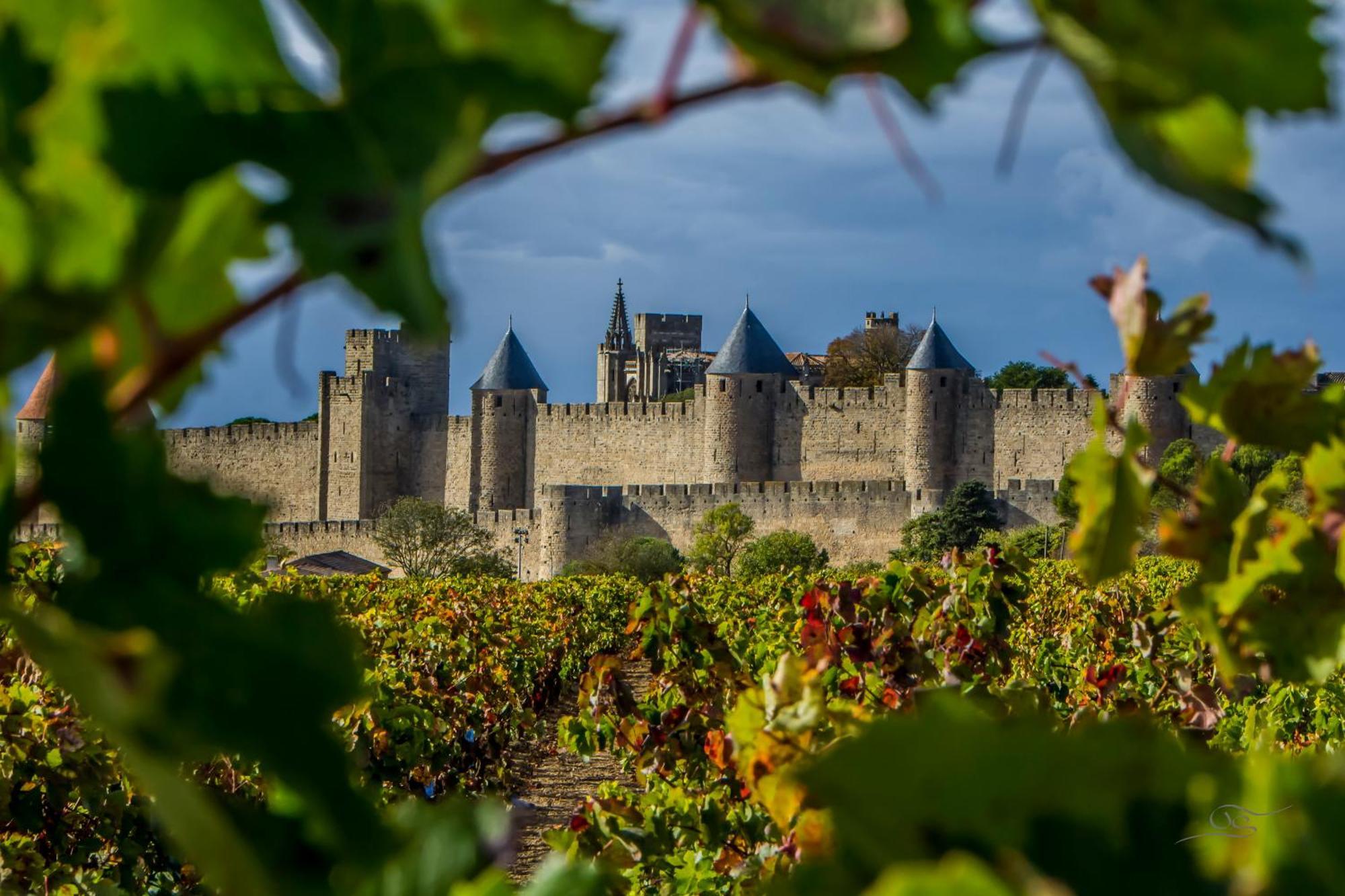 Maison Cantalauze - Pays Cathare - Carcassonne - Canal Du Midi Треб Экстерьер фото
